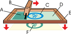 Squeegee Bar Executes Forward Movement while Applying Downward Force