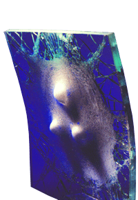 Armour Curve Glass Armour Curve Glass