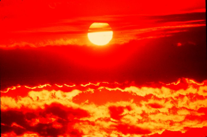 Heat Makes No Harm To PV Panel Encapsulated With Solar EVA Films Heat Makes No Harm To PV Panel Encapsulated With Solar EVA Films