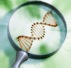 Chemically-Strengthen-Glass-Helps-To-Explore-Origin-Of-Life-In-Biotechnology-Industry Chemically-Strengthen-Glass-Helps-To-Explore-Origin-Of-Life-In-Biotechnology-Industry.png
